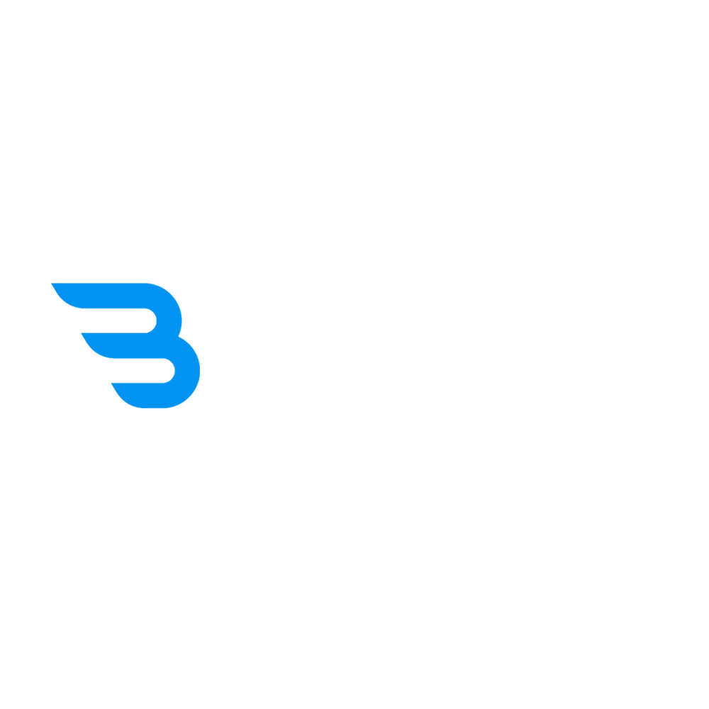 BiZonicX